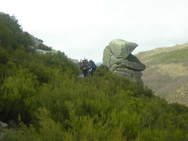 DSCN5996.JPG