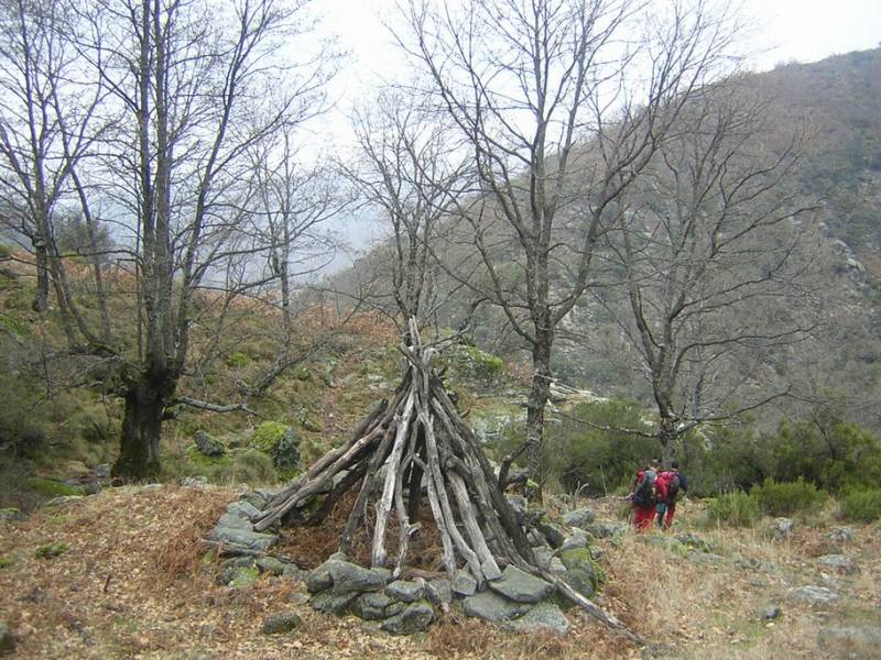 DSCN6004.JPG