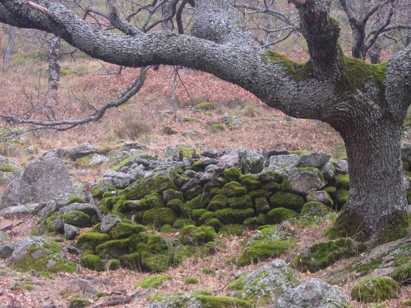 DSCN6006.JPG