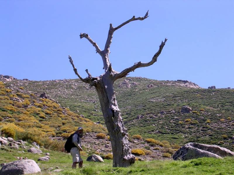 DSCN7839.JPG