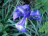 DSC03127.JPG