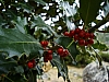 DSC04401.JPG