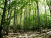 DSCF1132.JPG