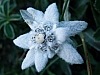 DSCF1252.JPG