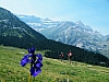 DSCF1709.JPG