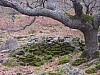 DSCN6006.JPG
