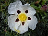 DSCN7567.JPG