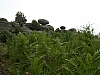 DSCN7735.JPG