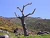 DSCN7839.JPG