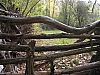 DSCN8063.JPG