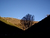 IMGP3334.JPG