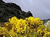 IMGP4034.JPG