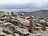 IMGP4067.JPG