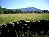 IMGP4482.JPG