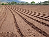 IMG_5373 copia.jpg